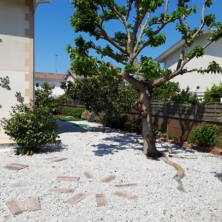 Maison Confort Entre Bassin Et Ocean Vakantiehuis *